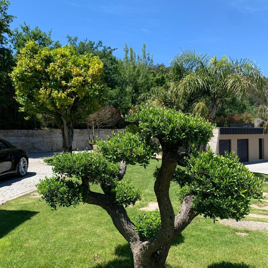 Infias Quinta De Santa Ana, Em Vizela 아파트 외부 사진